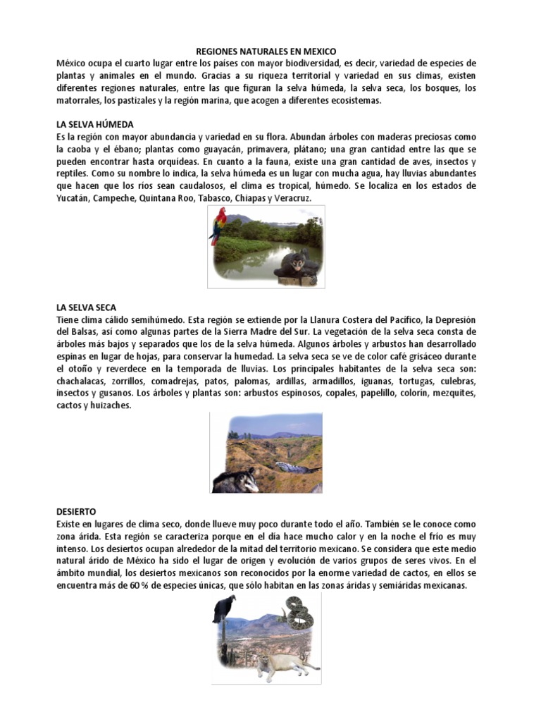 Regiones Naturales en Mexico | PDF | Selva | Desierto