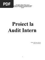 Misiune de Audit Intern