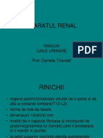 Aparatul Renal