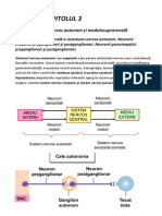 Sistemul Nervos Autonom