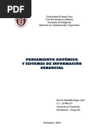 El pensamiento sistémicos y (SIG)
