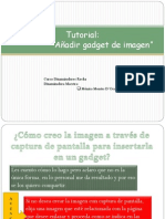 Tutorial Gadget Imagen