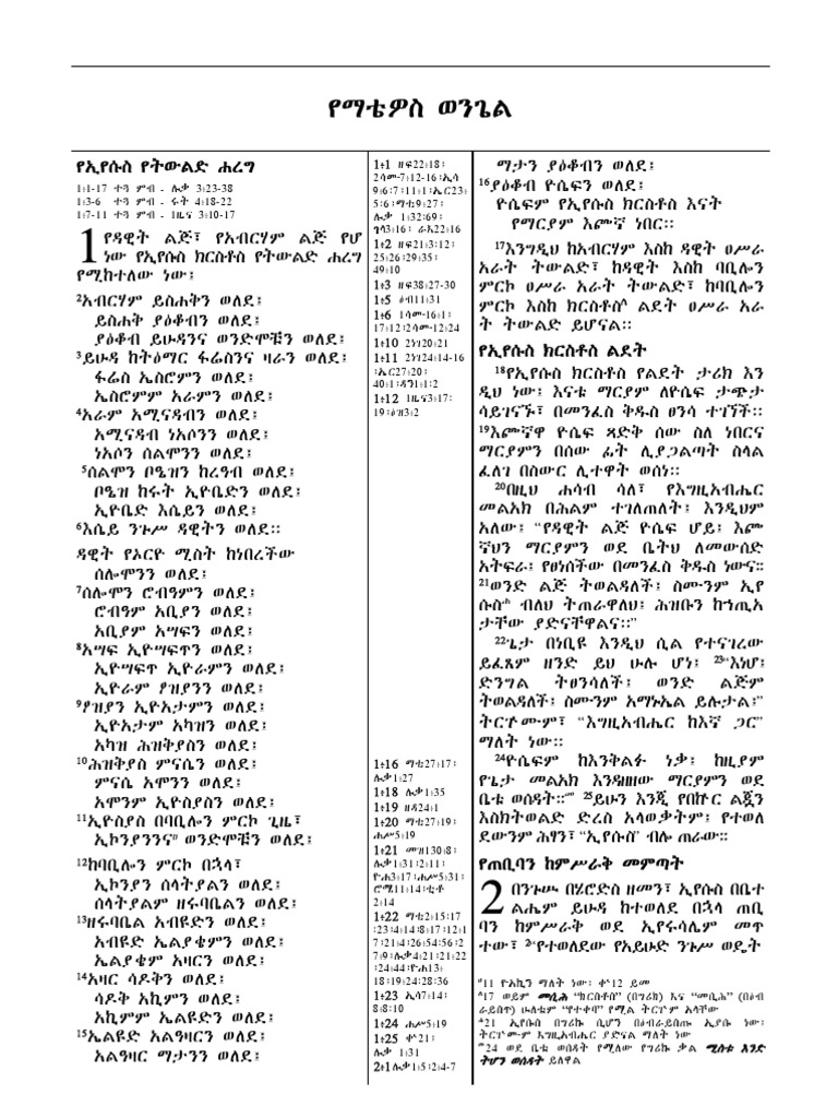 The Holy Bible In Amharic Nt Business
