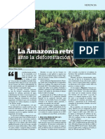 Revista HERENCIA: La Amazonía retroce ante la deforestacion y afecta al clima