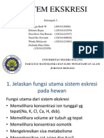 Sistem Ekskresi Kelompom 5