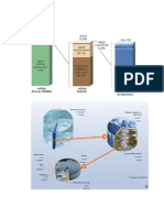 Distribución Agua Planeta