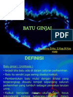 Batu Ginjal