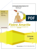 Fiebre Amarilla