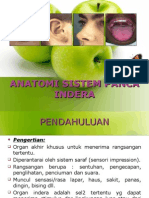 26807882-anatomi-sistem-panca-indra(1).ppt