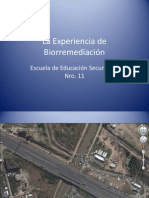 La Experiencia de Biorremediación