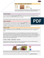 04 Functional Processes of Urine Formation