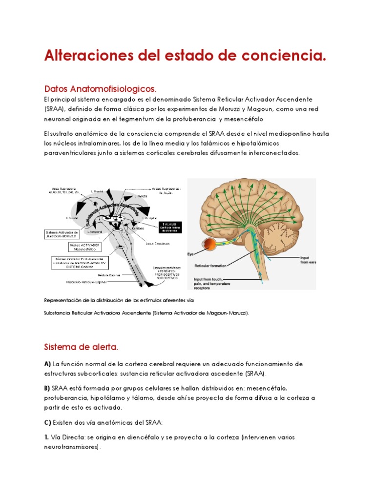 Alteraciones Del Estado de Conciencia PDF | PDF | Tálamo | Coma
