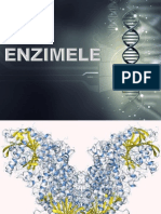 Enzimele