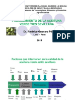 10. Aceituna  fermentada (1).pdf