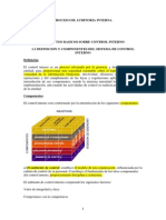 Proceso de Auditoria Interna