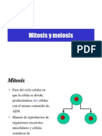 Mitosis y Meiosis