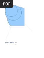 Download Report on Saras Dairy by Ajay Singh Rathore SN24669194 doc pdf