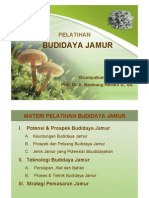 Budidya Jamur