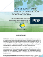 11 - Proteccion de ecosistemas estrategicos en la jurisdiccion de Corantioquia - copia.pdf