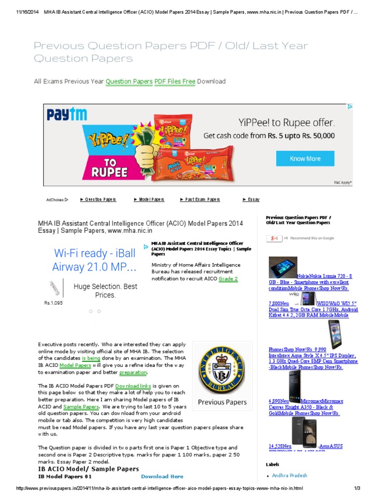 Ib descriptive paper pdf download picture