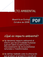 IMPACTO AMBIENTAL