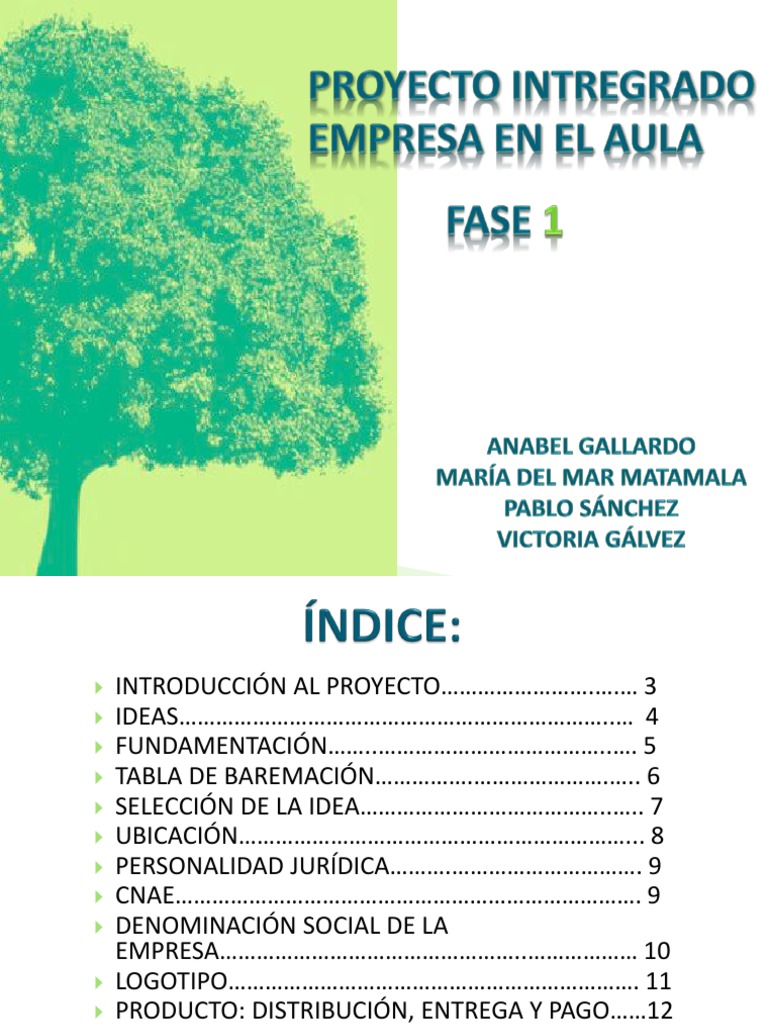 Fase 1 Power Point | PDF | Crecimiento personal y profesional | Negocios