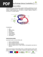 Manual Anatomia Sistema Venolinfático