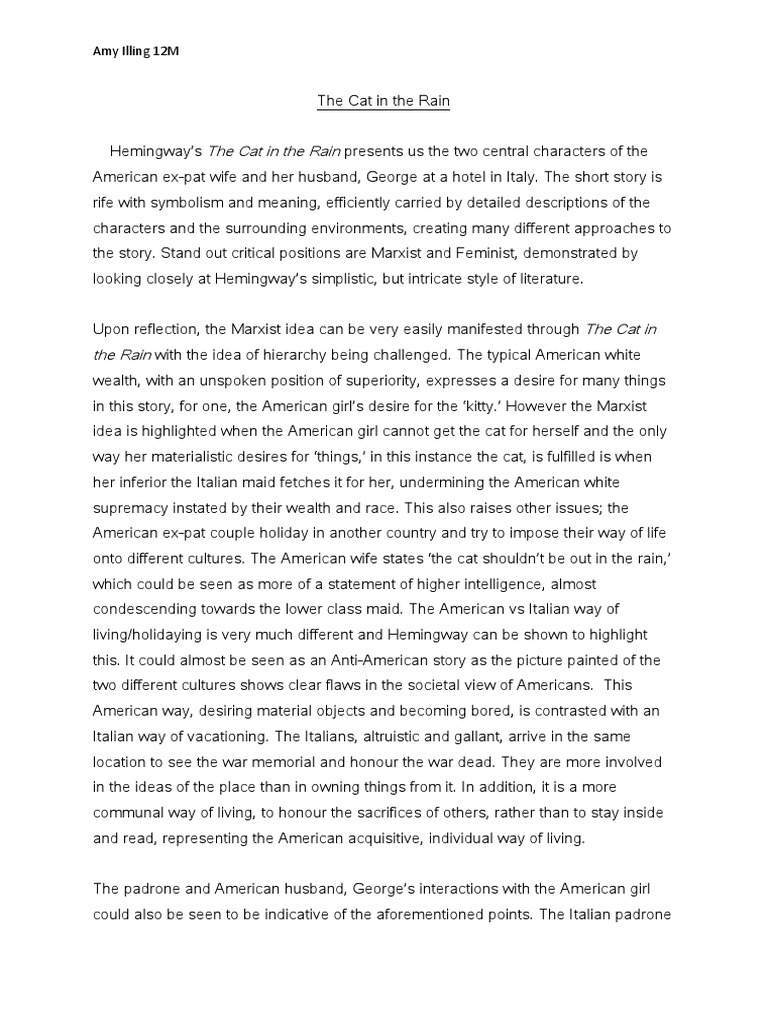 Why did ernest hemingway write cat in the rain image