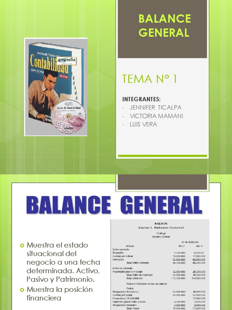 Balance General y Estado de Ganancias y Perdidas PDF Hoja de