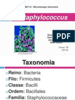 Staphylococcus