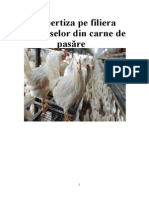 Expertiza Pe Filiera Produselor Din Carne de Pasăre