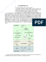 Fotorrespiração: processo dependente da luz que envolve cloroplastos, peroxissomos e mitocôndrias