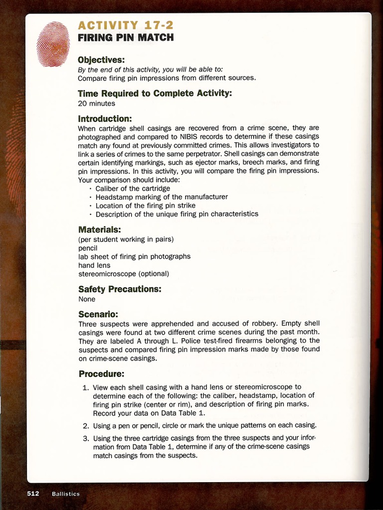 Firing Pin Match Activity 172