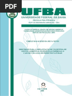 DIRETRIZES PARA A IMPLANTAÇÃO DE UM SISTEMA DE  GESTÃO AMBIENTAL EM PEQUENAS EMPRESAS