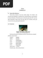 Download BAB II Ubur Kakaban Dan Hiu Bambu by arisnuryana SN246798115 doc pdf