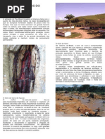 Ciclos Econômicos Do Brasil