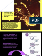 ch  4 cell differentiation notes