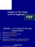 Ch 4 - Tissues 2011 Ppt