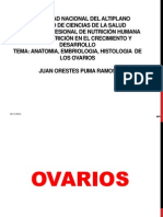 Los ovarios