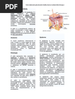 Integridade Tecidual Parte I 2012-02-20130320085339