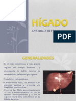 Anatomía Del Hígado
