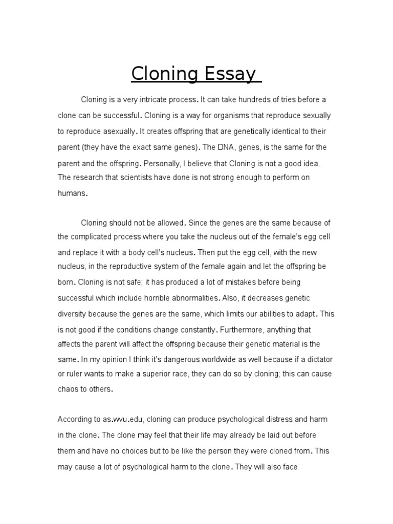 essay about cloning humans