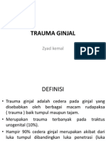 Trauma Ginjal