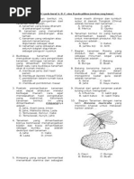 Download Soal Prakarya Budidaya k13 by agustin_mejayan SN246873215 doc pdf