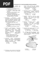  Soal  Pilihan  Ganda  Prakarya