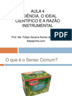 A Ciência, o Ideal Científico e a Razão Instrumental