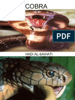 Hadi Al Saihati