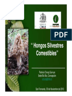 Hongos Silvestres Comestibles