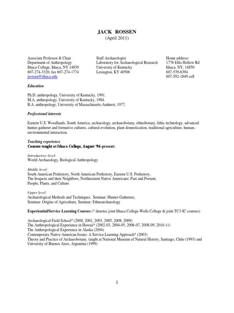 Curriculum vitae archaeology picture