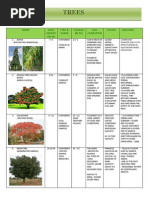 Endemic Trees of the Philippines | PDF | Ficus | Botany